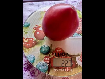 Томат Трюфельное сердце