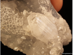 Апофиллит, кристаллы на кварце. 45*36*21мм