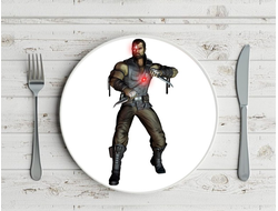 Тарелка Мортал Комбат, Mortal Kombat №43