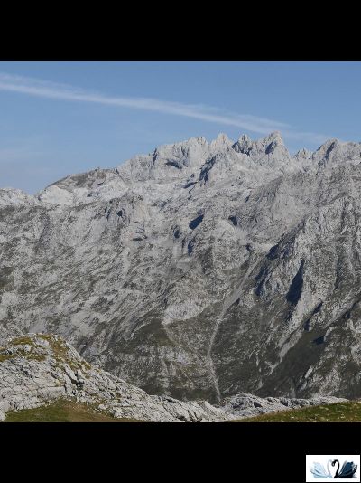 Плитка Belani Cornion дымчатый 30х60 см, настенная, Береза керамика