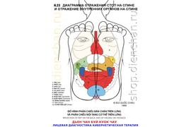 КОРРЕКЦИЯ ФИГУРЫ