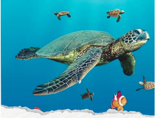 WYCIECZKA DO ABU DABAB Z HURGHADY