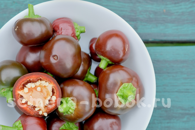 Перец полуострый Chocolate Cherry (10 шт)