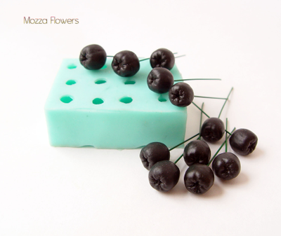 Молд "Черноплодная рябина"