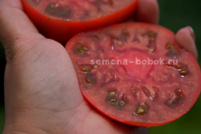 Томат Cowboy (Ковбой), 10 шт