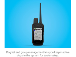 Портативный GPS навигатор Garmin Alpha 200 без ошейника (Европейская версия)