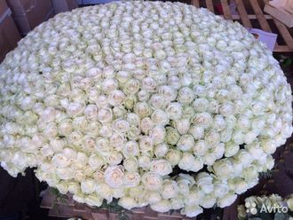 1001 белая роза в корзине
