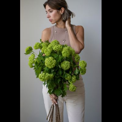 Моно букет цветов № 530