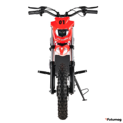 ЭлектроМОТОЦИКЛ WHITE SIBERIA SOCHI 1300W RED