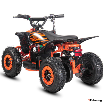 Электроквадроцикл WHITE SIBERIA SNEG LETO R 1000W Оранжевый