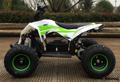 Электроквадроцикл Motax GEKKON 1300W белый
