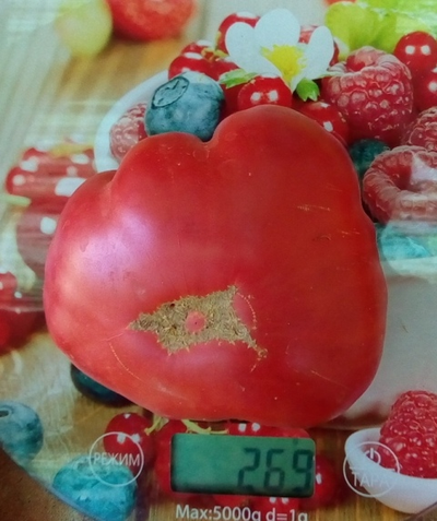 Томат Марманде розовый (Marmande pink)