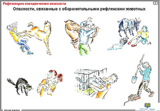 Опасные животные  (15 шт), комплект кодотранспарантов (фолий, прозрачных пленок, начальная школа