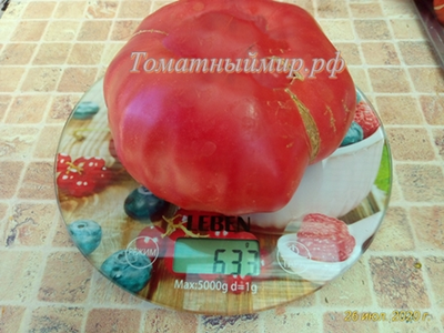 Томат Ливанские горы (Libanaise des Montagnes), США