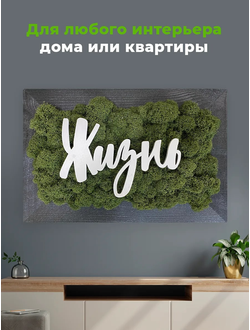 ЖИВАЯ ЭКО-КАРТИНА 1049