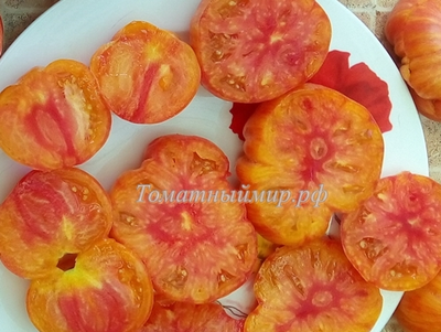 Томат Литиевый закат (Lithium Sunset), США