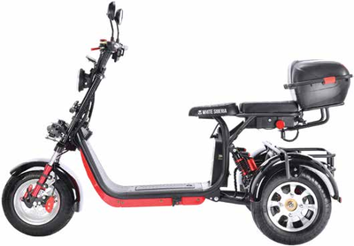 WHITE SIBERIA PRO TRIKE+  3000W (2021)