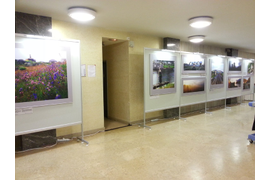 Выставка фотографий Международного комитета железных дорог