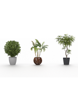 Настроенная сцена предметной визуализации (Artlantis 6 - Artlantis 2021)