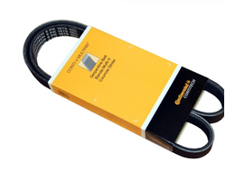 РЕМЕНЬ ПОЛИКЛИНОВОЙ