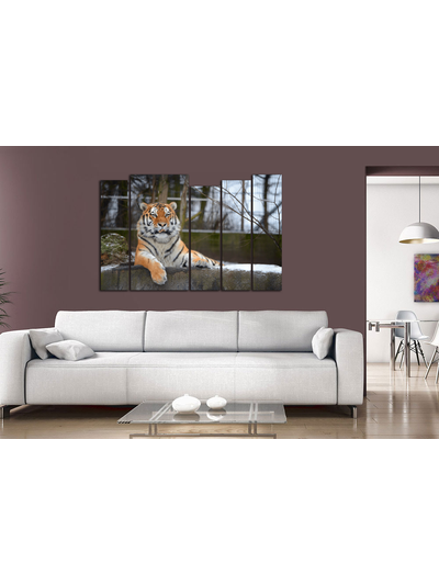 Модульная картина "Спокойный тигр"