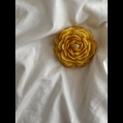 СВЕЧА "ПИОН"