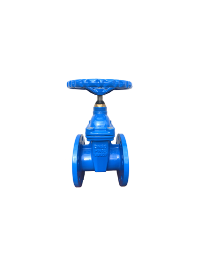 Ду 250 30ч39р ЗАДВИЖКА ФЛАНЦЕВАЯ С ОБРЕЗИНЕННЫМ КЛИНОМ