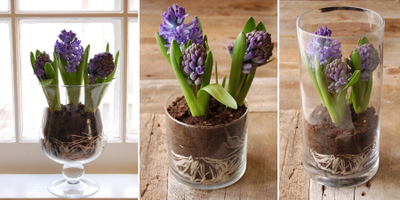 "Верхушка гиацинта" силиконовый молд .