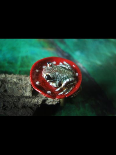 Сказочное кольцо с лягушкой и мухомором &quot;Жду принца!&quot;