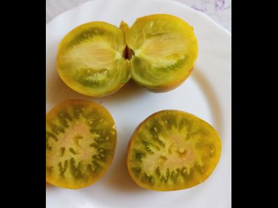 Томат Зеленый коньяк (Грин бренди, Green Brandy)