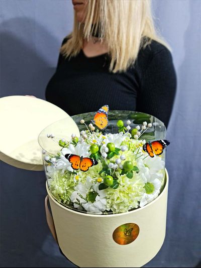 Композиция в фисташковом цвете и 3 бабочки. №70