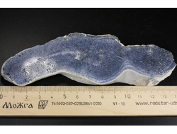 Коралл голубой Акори, Австралия (139*49*12 мм, 100 г) №37714