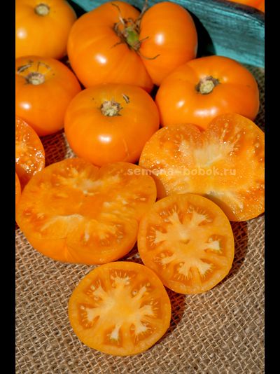 Томат  New Moon (Новолуние), 10 шт