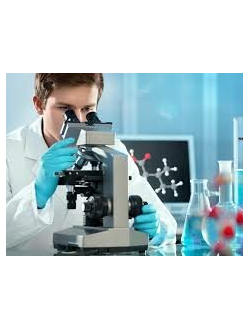 Микроскопы