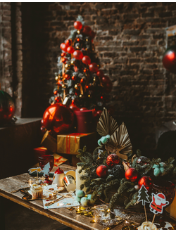 Оформление фотосессии в новогодних оттенках № 1469