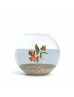 аквариумы Аквариум 10