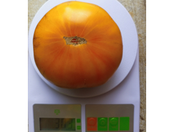 Томат Чупа-чупс (Chupa-Chups)