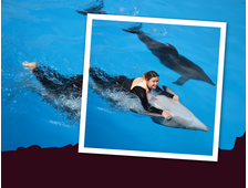 DELPHINARIUM HURGHADA — SCHWIMMEN MIT DELPHINEN