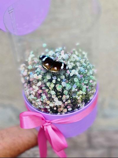 Букет из гипсофилы с бабочкой №57