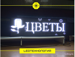 Бегущая строка 53*165см