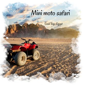 Mini moto safari - quad biking (morning or afternoon)