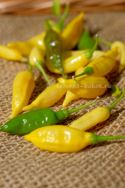 Перец острый Aji Lemon Drop (Ахи Лемон Дроп), 10 шт