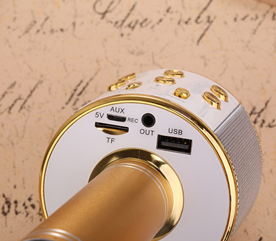 Караоке-микрофон WSTER WS-858 оригинальный