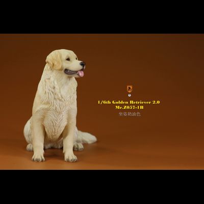 Белый ретривер (сидящий) - Коллекционная ФИГУРКА 1/6 scale Animal Model Golden Retriever 2.0 (MRZ057-1B) - Mr.Z
