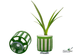 Swetaqua Pot Small - Горшочек для растения с присоской