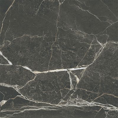 SILKMARBLE, керамогранит, 60x60 см,  Порто Неро, Матовый (8 мм), K947790R