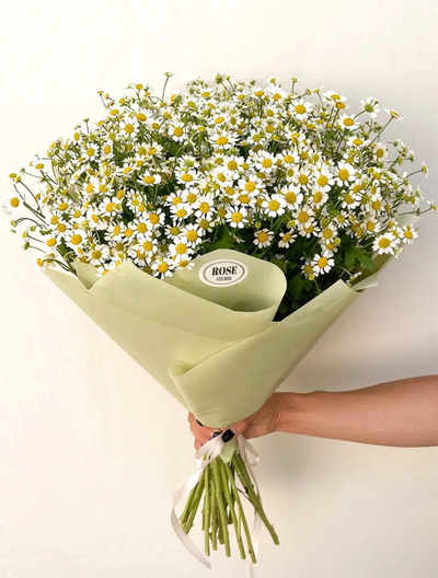 25 кустовых ромашек