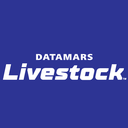 Датамарс Рус