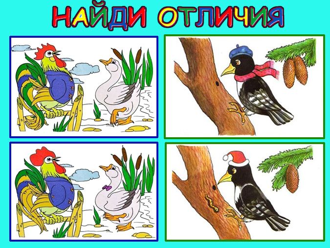 Встречаем пернатых друзей. Конкурс листовок встречаем пернатых друзей. Птицы весной для детского сада. Встречаем пернатых. Заходер ласточка.