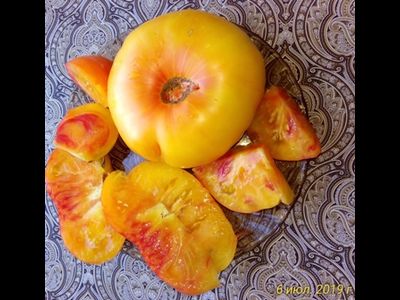 Томат Желтый камень (Yellow Stone)